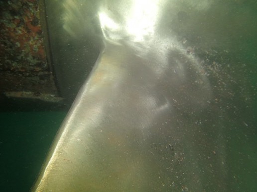 propeller polish rotterdam